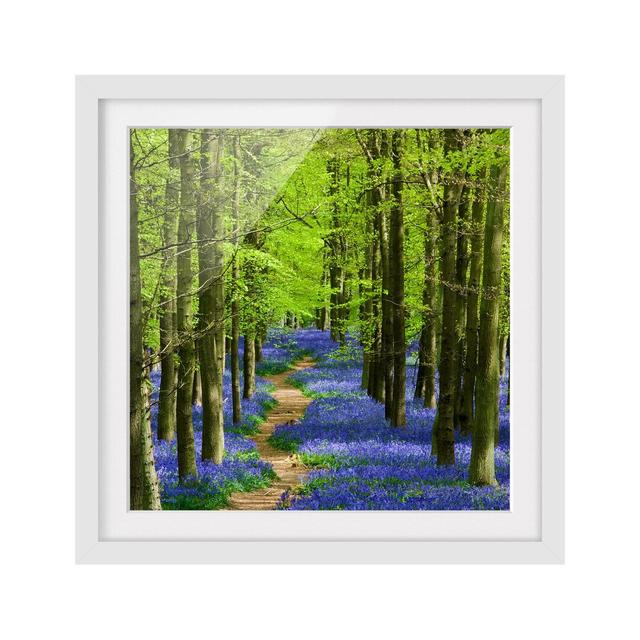 'Walking Trail in Hertfordshire' - Picture Frame Photograph Print on Paper East Urban Home Size: 70cm H x 70cm W x 2cm D, Frame Options: Matt white on Productcaster.