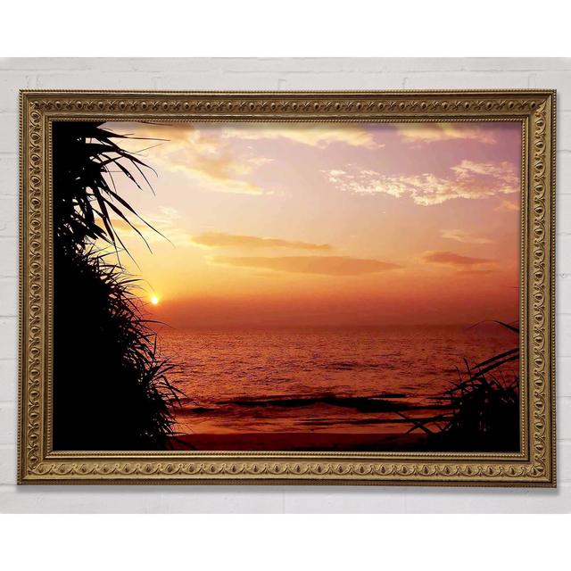 Paradise Calm Framed Print Bright Star Size: 29.7cm H x 42cm W x 3cm D on Productcaster.