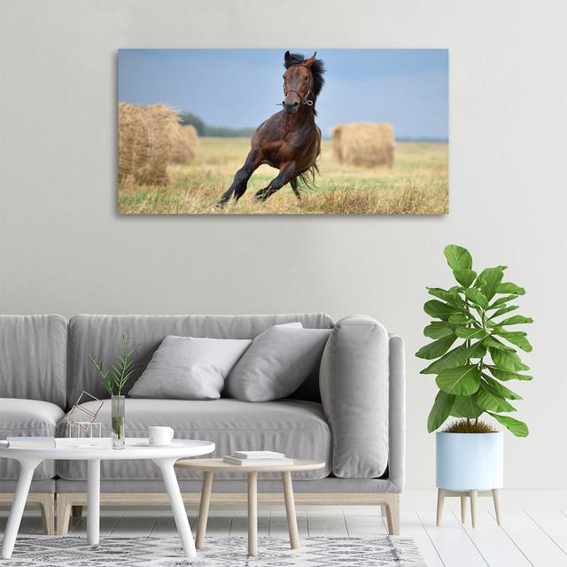 Horse in Gallop - Unframed Art Prints on Canvas Natur Pur on Productcaster.