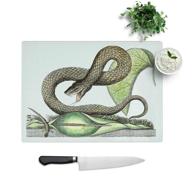 Tempered Glass Viper Snake Chopping Board East Urban Home Size: 39 cm W x 28.5 cm L on Productcaster.