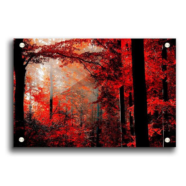 Red 2 Forest - Unframed Photograph Print on Acrylic East Urban Home Size: 59.4cm H x 84.1cm W on Productcaster.