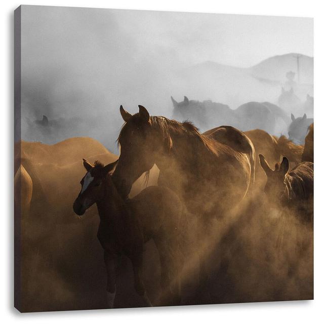 Leinwandbild Herd of Horses in the Dust at Sunset in Schwarzweiß Union Rustic Größe: 70 cm H x 70 cm B x 1,8 cm T on Productcaster.