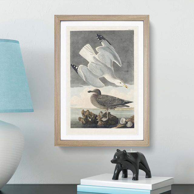 Herring Gulls by John Audubon - Picture Frame Painting Print East Urban Home Size: 36cm H x 27cm W x 2cm D, Frame Option: Oak Framed on Productcaster.