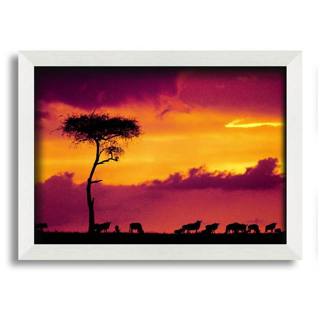 Afrikanische Safari Sonnenuntergang Gerahmter Druck Ebern Designs Format: Poster mit weißem Rahmen, Größe: 42 cm H x 59,7 cm B x 10 cm T on Productcaster.