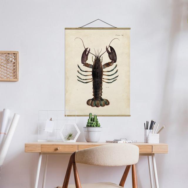 Stoffbild Mit Posterleisten - Vintage Illustration Hummer - Hochformat 4:3 Haus am Meer Größe: 133,5 cm H x 100 cm B x 0,3 cm T on Productcaster.