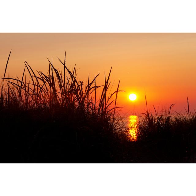 Michigan Sunset by Csterken - Wrapped Canvas Photograph 17 Stories Size: 51cm H x 76cm W on Productcaster.