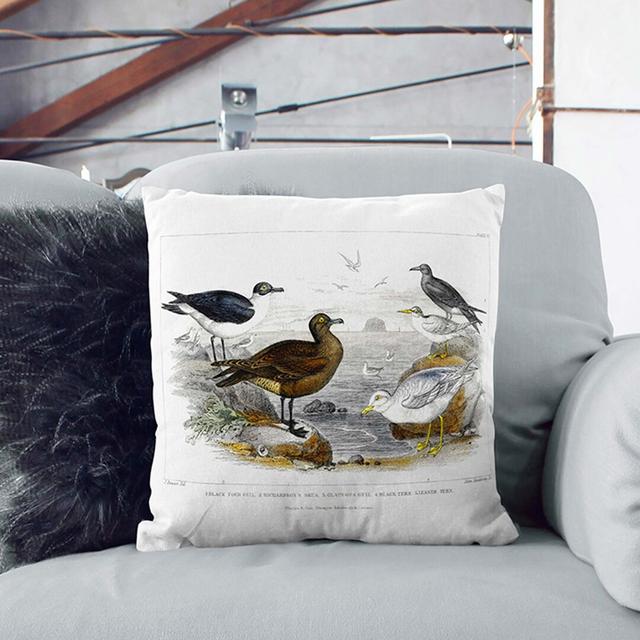 Gulls & Tern Birds by Oliver Goldsmith Cushion with Filling East Urban Home Size: 55cm H x 55cm W x 20cm D, Backing Colour: Black on Productcaster.