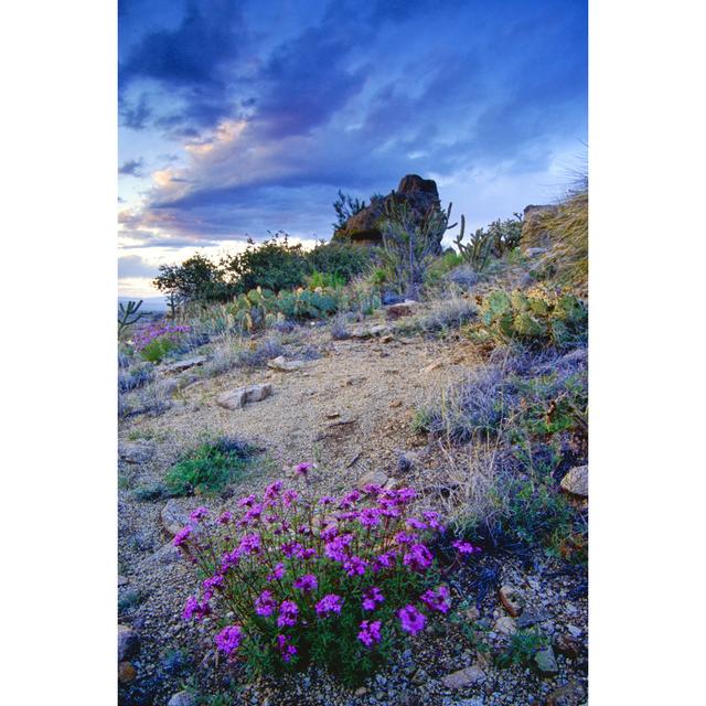 Landscape Desert Wildflower Sunset Sky by Amygdala_imagery - Print 17 Stories Size: 122cm H x 81cm W x 3.8cm D on Productcaster.