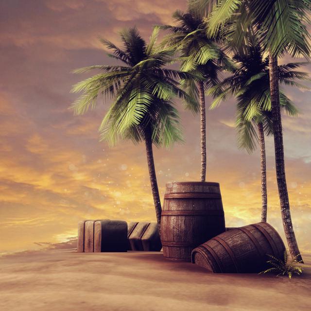 Barrels, Crates and Palm Trees by Fairytaledesign - Wrapped Canvas Photograph Pergo Classics Size: 122cm H x 122cm W on Productcaster.