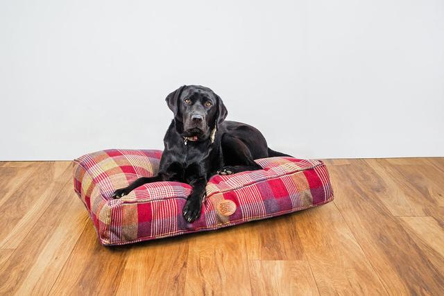 Bette FAUX WOOL Pet Bed Archie & Oscar on Productcaster.