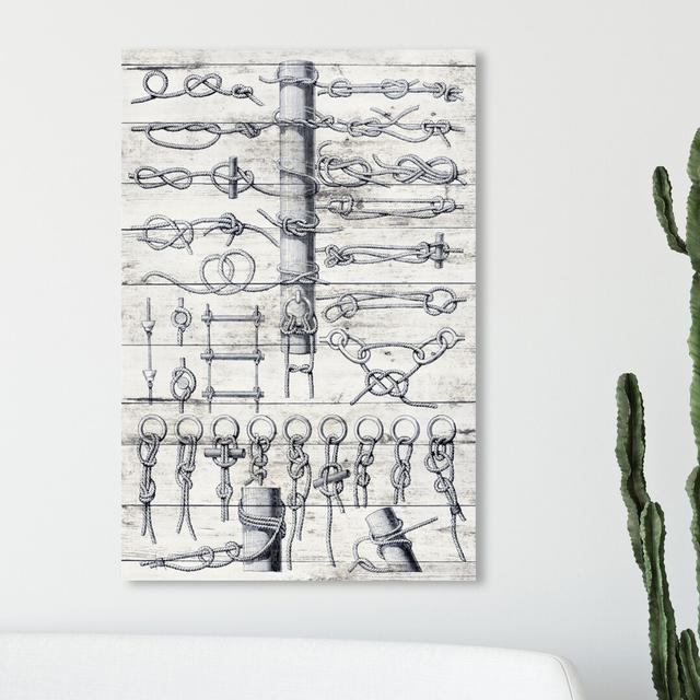 'Sea Knots' Graphic Art on Wrapped Canvas East Urban Home Size: 76.2 cm H x 50.8 cm W on Productcaster.