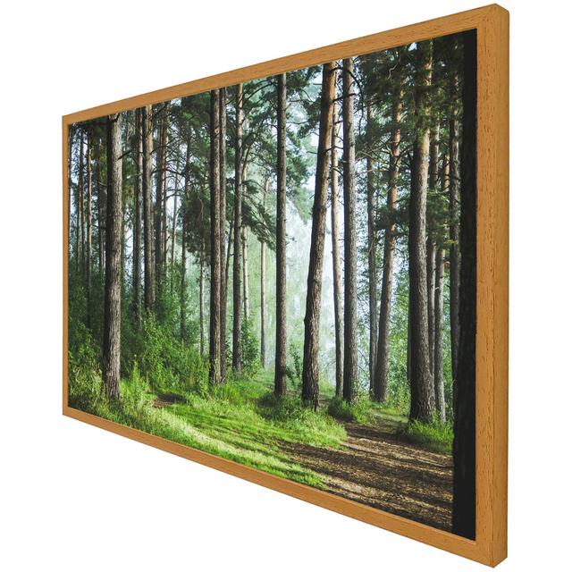 Dellroy Single Picture Frame Art Prints Alpen Home Frame Option: Oak Framed, Size: 51cm H x 76cm W x 4cm D on Productcaster.