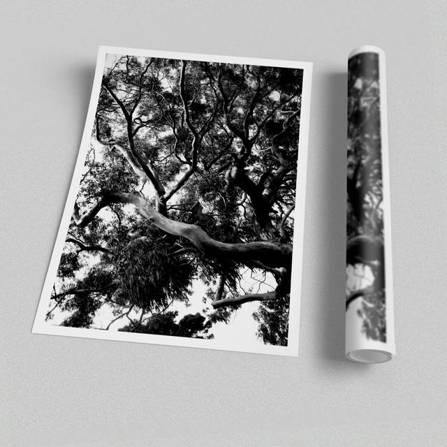 'Tree in the Wind' - Unframed Photograph Print on Paper East Urban Home Size: 59.4 cm H x 42 cm W on Productcaster.