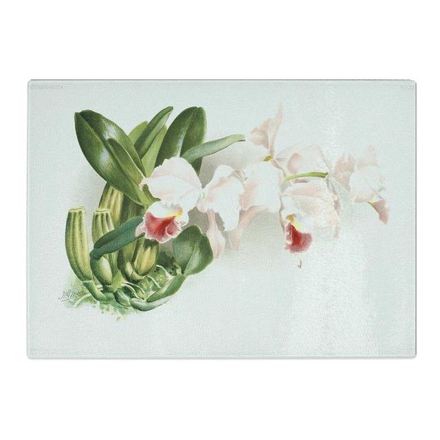 Tempered Glass Magnolia Flowers Illustration Tab.75 by Frederick Sander Chopping Board East Urban Home Size: 39 cm x 28.5 cm on Productcaster.