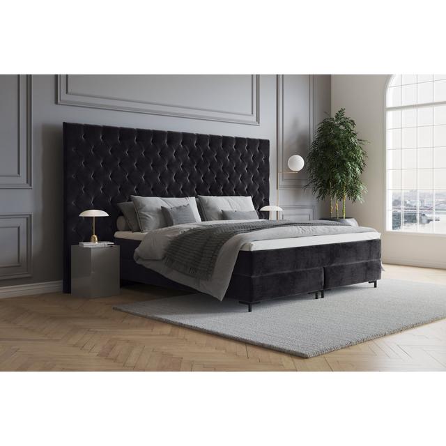 Echtes Boxspringbett Ajala mit Premium Visco Topper, mit Samtstoff bezogen Canora Grey Matratzenhärte: H2 - bis zu ca. 75 kg / H3 - ca. 75-100 kg, Grö on Productcaster.