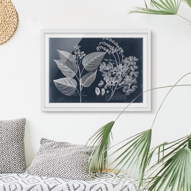 Foliage Dark Blue - Annotto - Picture Frame Graphic Art Brambly Cottage Frame Option: White Framed on Productcaster.