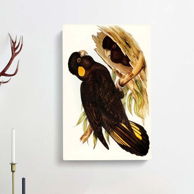 Yellow-Eared Black Cockatoos by Elizabeth Gould - Wrapped Canvas Painting Print East Urban Home Size: 76cm H x 50cm W x 3cm D on Productcaster.