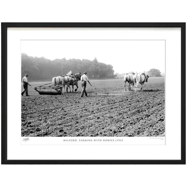 'Milford, Farming with Horses C1955' by Francis Frith - Picture Frame Photograph Print on Paper The Francis Frith Collection Size: 60cm H x 80cm W x 2 on Productcaster.