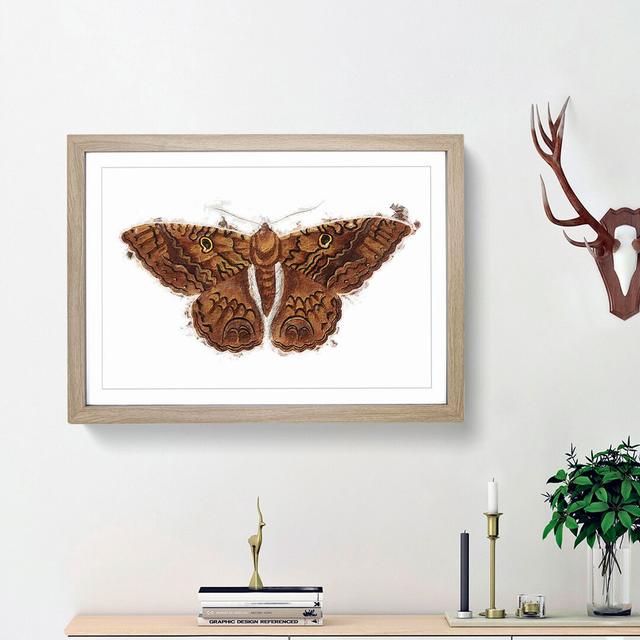 Sable Moth by George Shaw - Picture Frame Painting Print East Urban Home Frame Option: Oak Framed, Size: 48cm H x 65cm W x 2cm D on Productcaster.