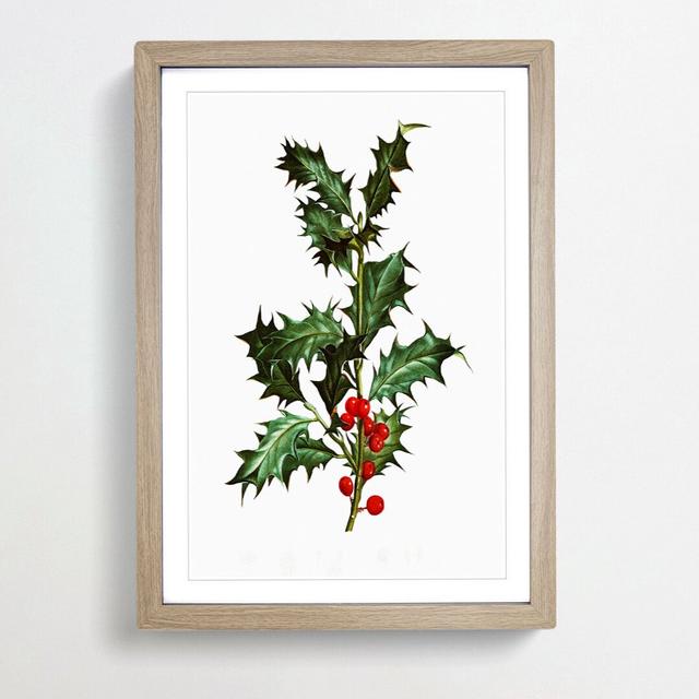 Holly Branch Berries by Pierre-Joseph Redoute - Picture Frame Painting Print on MDF East Urban Home Frame Option: Oak Framed, Size: 65cm H x 48cm W x on Productcaster.