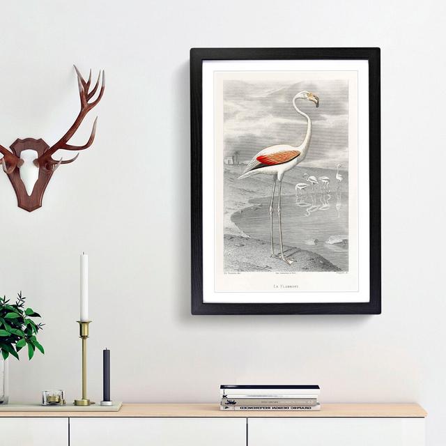 A Flamingo by Edouard Travies - Picture Frame Painting Print East Urban Home Frame Option: Black Framed, Size: 48cm H x 36cm W x 2cm D on Productcaster.