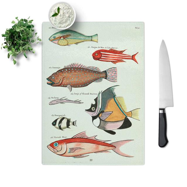 Glass East indies Fish Illustrations Fol. 30 by Louis Renard Chopping Board East Urban Home Size: 39 cm W x 28.5 cm L on Productcaster.