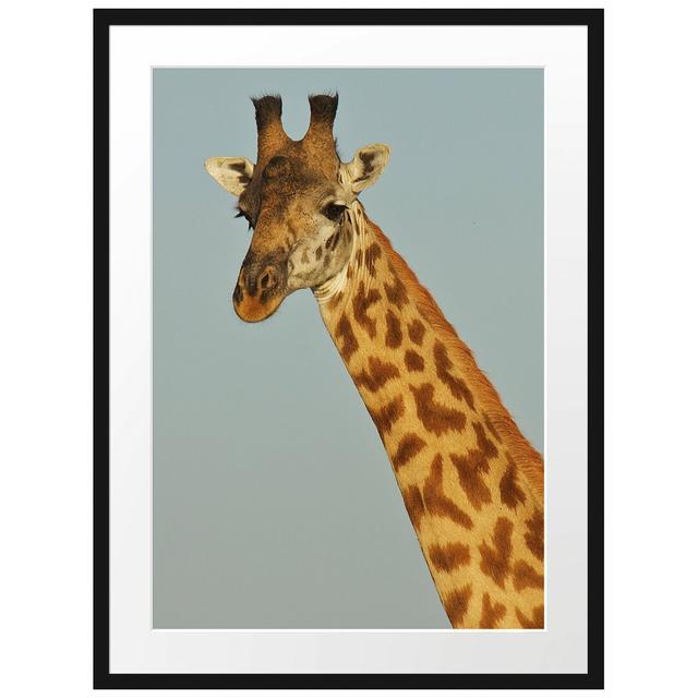 Majestätische Giraffe Gerahmte Fotokunstdrucke Poster East Urban Home Größe: 80 cm H x 60 cm B on Productcaster.