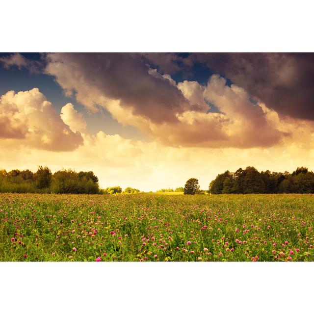 Countryside Meadow by Ysuel - Wrapped Canvas Photograph 17 Stories Size: 81cm H x 122cm W on Productcaster.