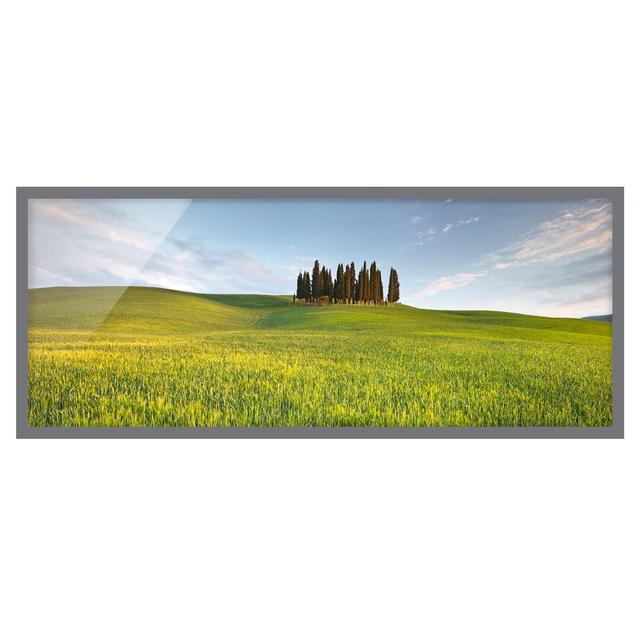 Green Field in Tuscany - Picture Frame Photograph Rosalind Wheeler Frame Option: Grey, Size: 50cm H x 130cm W x 2cm D on Productcaster.