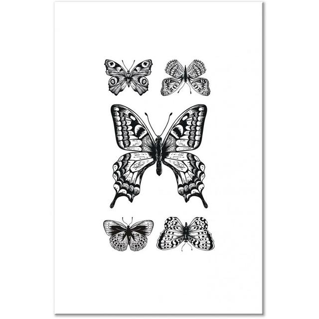 Five Butterflies - Print on Canvas Latitude Run Size: 120cm H x 80cm W x 1.3cm D on Productcaster.