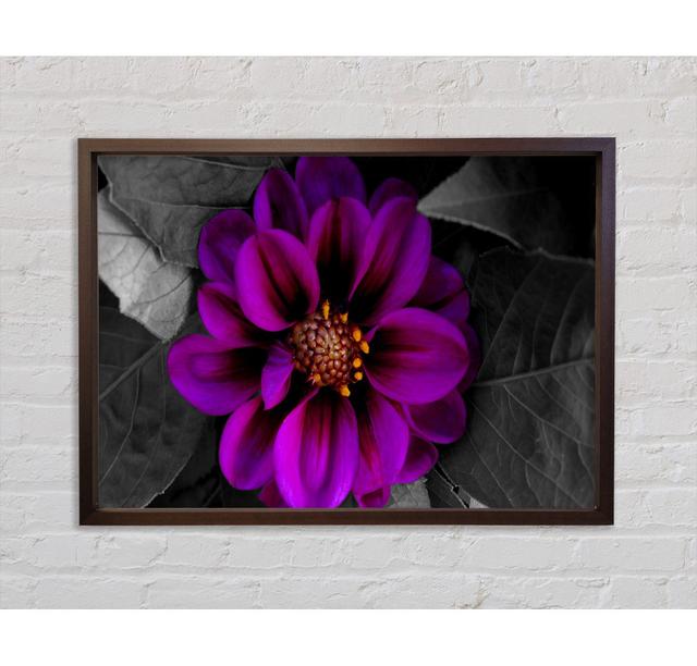 Fall Flower Framed Print Brayden Studio Size: 84.1cm H x 118.9cm W x 3.3cm D, Format: Dark Grey Framed Canvas on Productcaster.