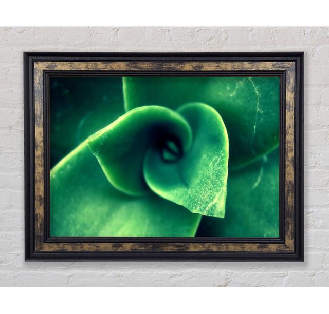 Green Light From The New Leaves - Print Bright Star Size: 59.7cm H x 84.1cm W x 8cm D on Productcaster.