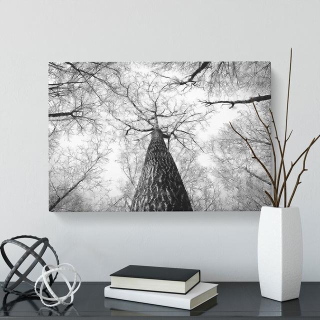 Below The Forest - Wrapped Canvas Photograph East Urban Home Size: 50cm H x 76cm W x 3cm D on Productcaster.