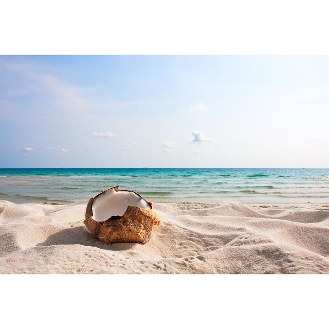 Fresh Coconut On Beach House of Hampton Size: 30cm H x 46cm W x 3.8cm D on Productcaster.