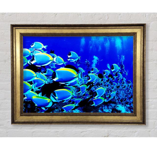 Ocean Fun - Single Picture Frame Art Prints Bright Star Size: 84.1cm H x 142.2cm W x 8cm D on Productcaster.