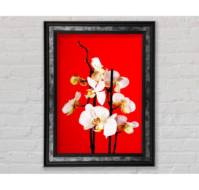 White Orchard Beauty On Red Framed Print Bright Star Size: 59.7cm H x 42cm W x 8cm D on Productcaster.