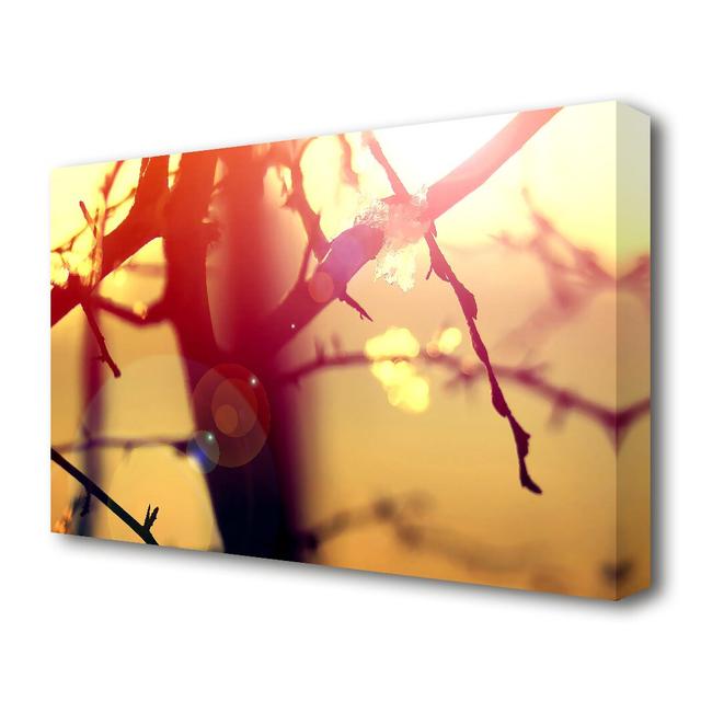 Winter Sunlight Forest Canvas Print Wall Art East Urban Home Size: 50.8 cm H x 81.3 cm W on Productcaster.