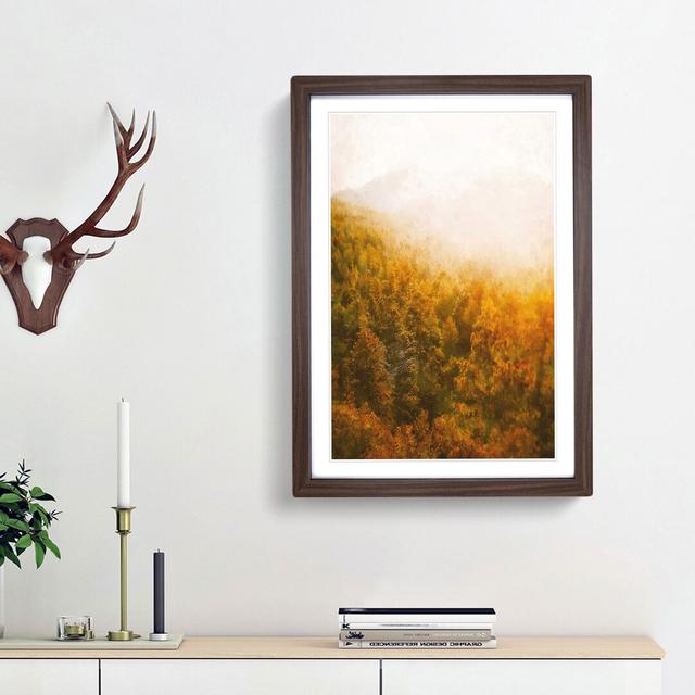 Golden Sun over the Forest - Picture Frame Painting Print East Urban Home Frame Option: Walnut Framed, Size: 87cm H x 62cm W x 2cm D on Productcaster.