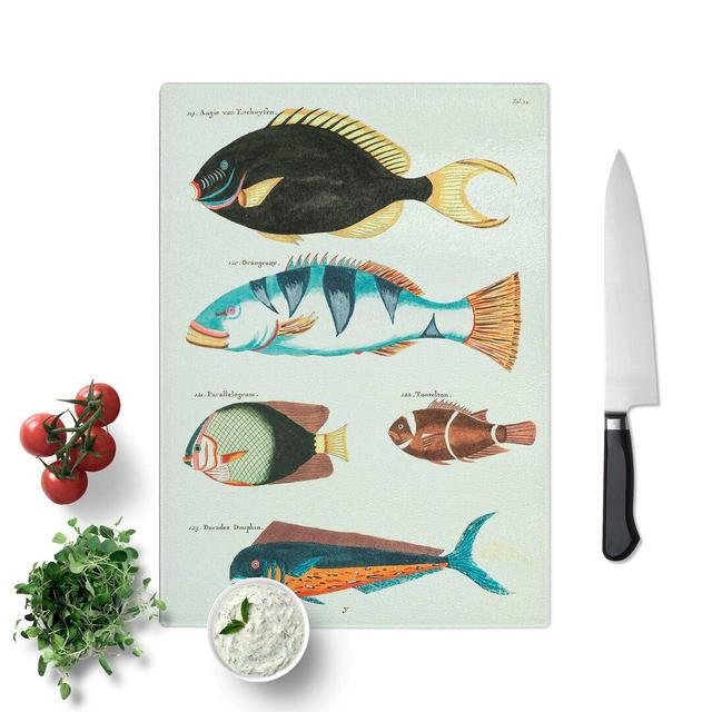 Glass East indies Fish Illustrations Fol. 22 by Louis Renard Chopping Board East Urban Home Size: 28.5 cm W x 20 cm L on Productcaster.