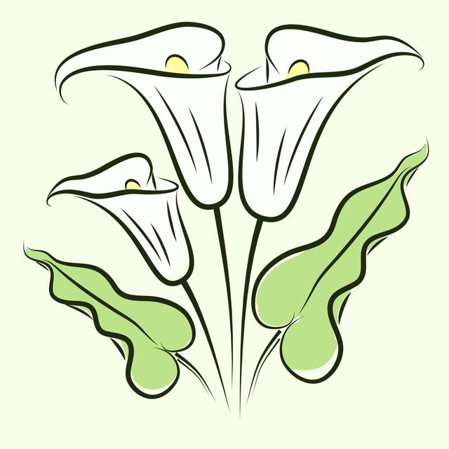 Calla Lily Color - Print Marlow Home Co. Size: 60cm H x 60cm W x 1.8cm D on Productcaster.