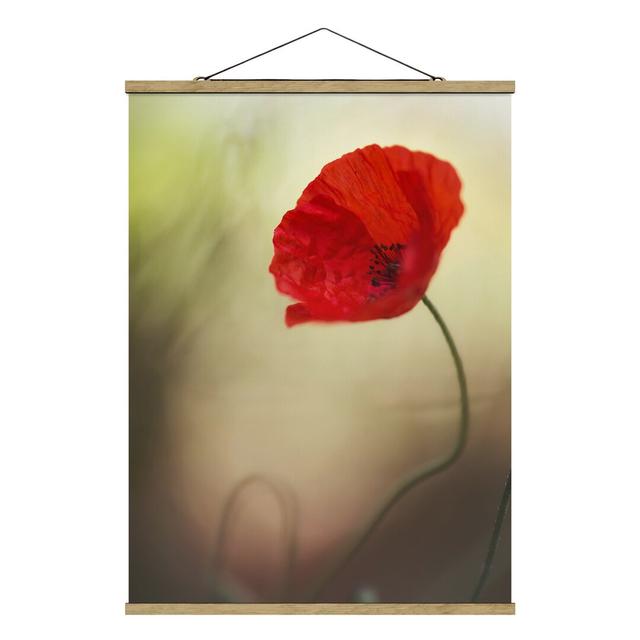 Poppy Blossom in the Garden - Graphic Art Print Ebern Designs Size: 106.5cm H x 80cm W x 0.3cm D on Productcaster.