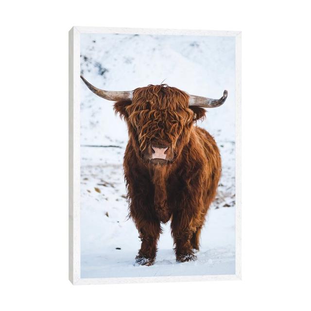 Highland Cattle I by Steffen Fossbakk - Photograph Print on Canvas East Urban Home Size: 66.04cm H x 45.72cm W x 3.81cm D, Frame Option: White Framed on Productcaster.