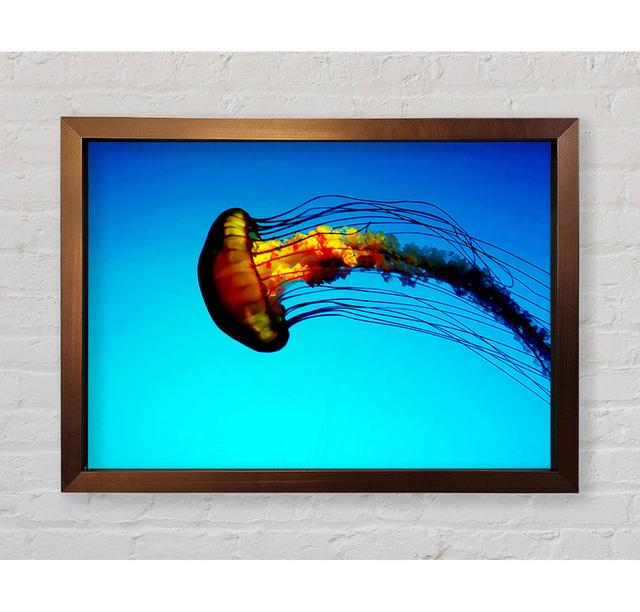 Ocean Jellyfish Framed Print House of Hampton Size: 42.1cm H x 59.7cm W on Productcaster.