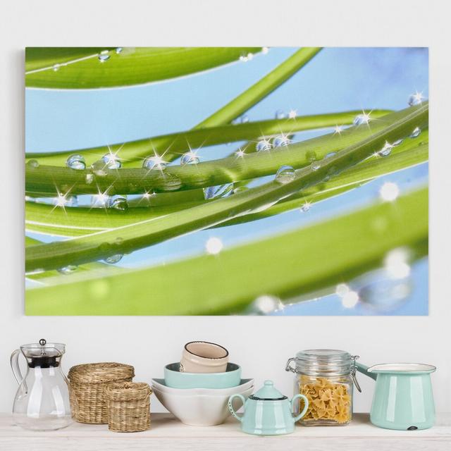 Fresh Green - Wrapped Canvas Art Prints Ebern Designs Size: 40cm H x 60cm W, Format: 260g/m² canvas on Productcaster.