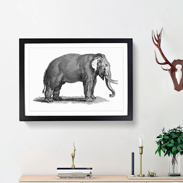 Elephant in Black & White by George Shaw - Picture Frame Drawing Print on MDF East Urban Home Frame Option: Black Framed, Size: 36cm H x 48cm W x 2cm on Productcaster.