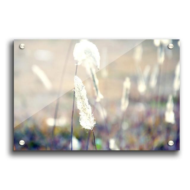 Grass Fluff Summer Flowers - No Frame Print on Plastic / Acrylic East Urban Home Size: 29.7cm H x 42cm W on Productcaster.