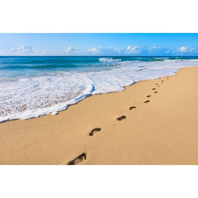 Sand, footprints, pacific ocean surf, tropical beach, Kauai, Hawaii House of Hampton Size: 61cm H x 91cm W on Productcaster.