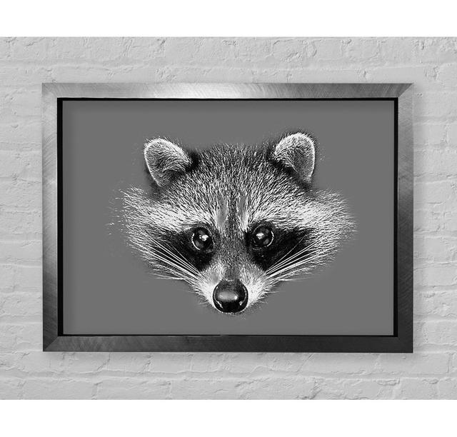 Raccoon On Grey - Single Picture Frame Art Prints Bright Star Size: 59.7cm H x 84.1cm W x 3.4cm D on Productcaster.