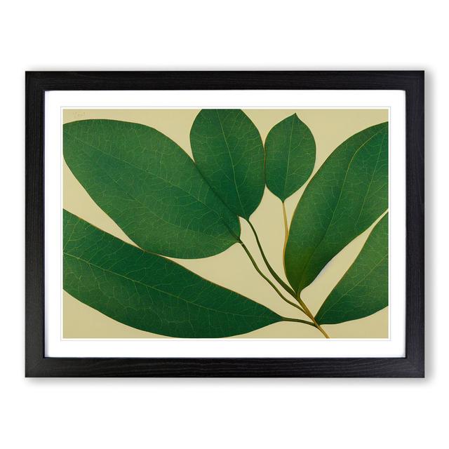 Picturesque Leaf - Picture Frame Graphic Art Marlow Home Co. Format: Black Framed, Size: 25cm H x 34cm W x 2cm D on Productcaster.