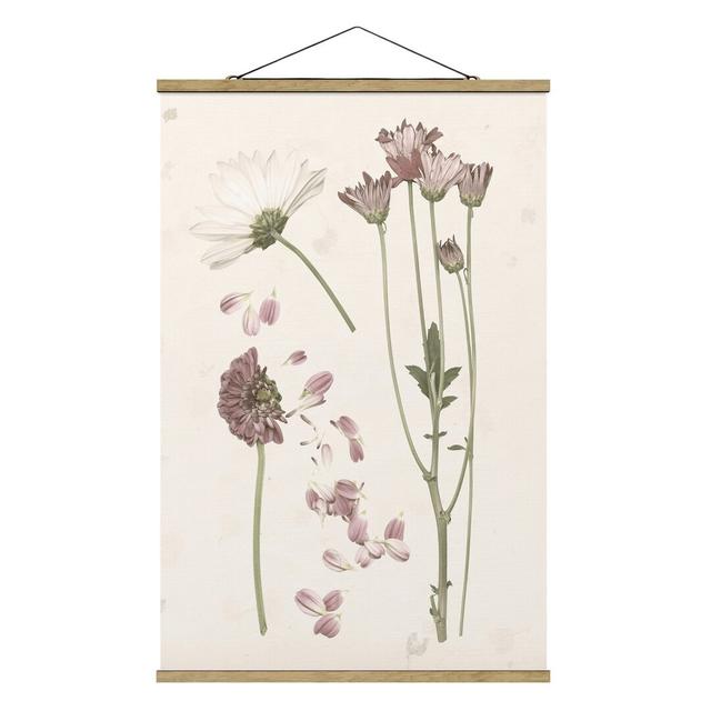 Herbarium in Pink II - Graphic Art Print August Grove Size: 120cm H x 80cm W x 0.3cm D on Productcaster.